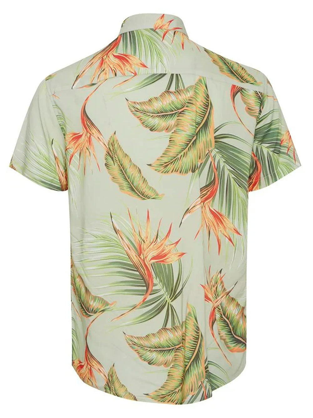 Camicia BLEND Uomo 20715450